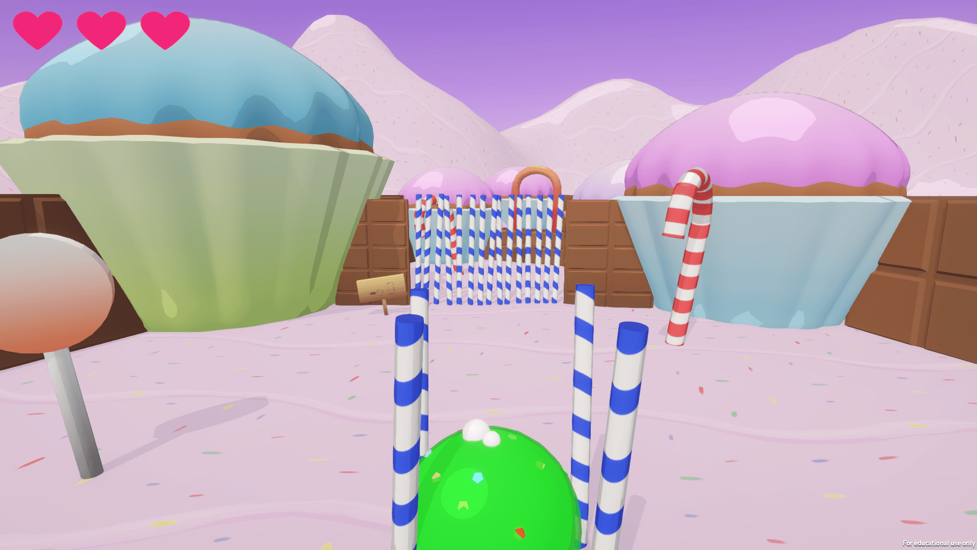 Slow Mallow_image_0